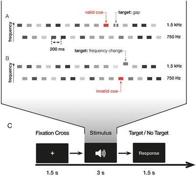 Effects of Exogenous Auditory Attention on Temporal and Spectral Resolution